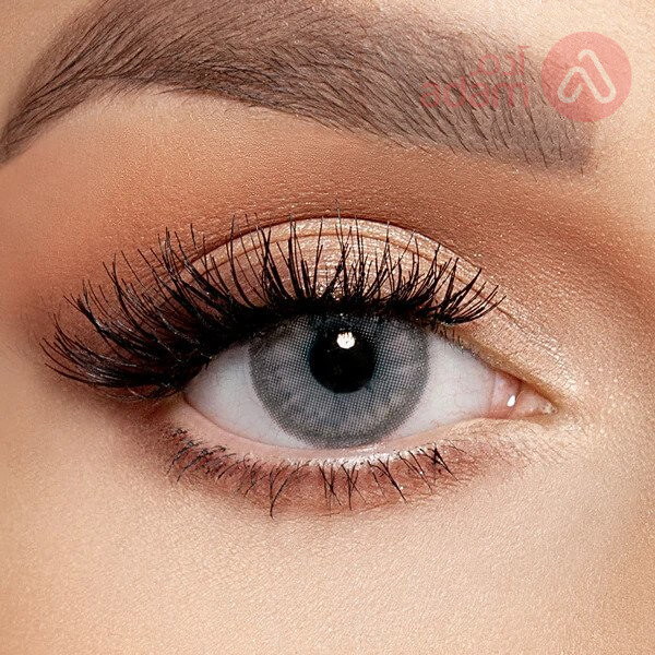 Layala Lenses Monthly Polar Gray