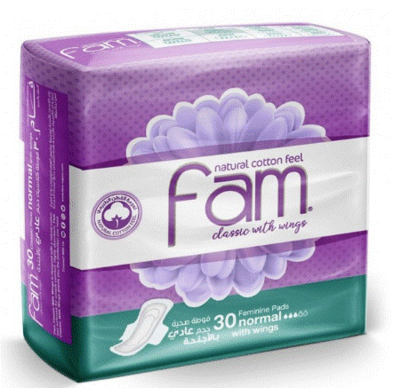 FAM SUPER WINGS CLASSIC (3+1)X10PCS(VIOLET))